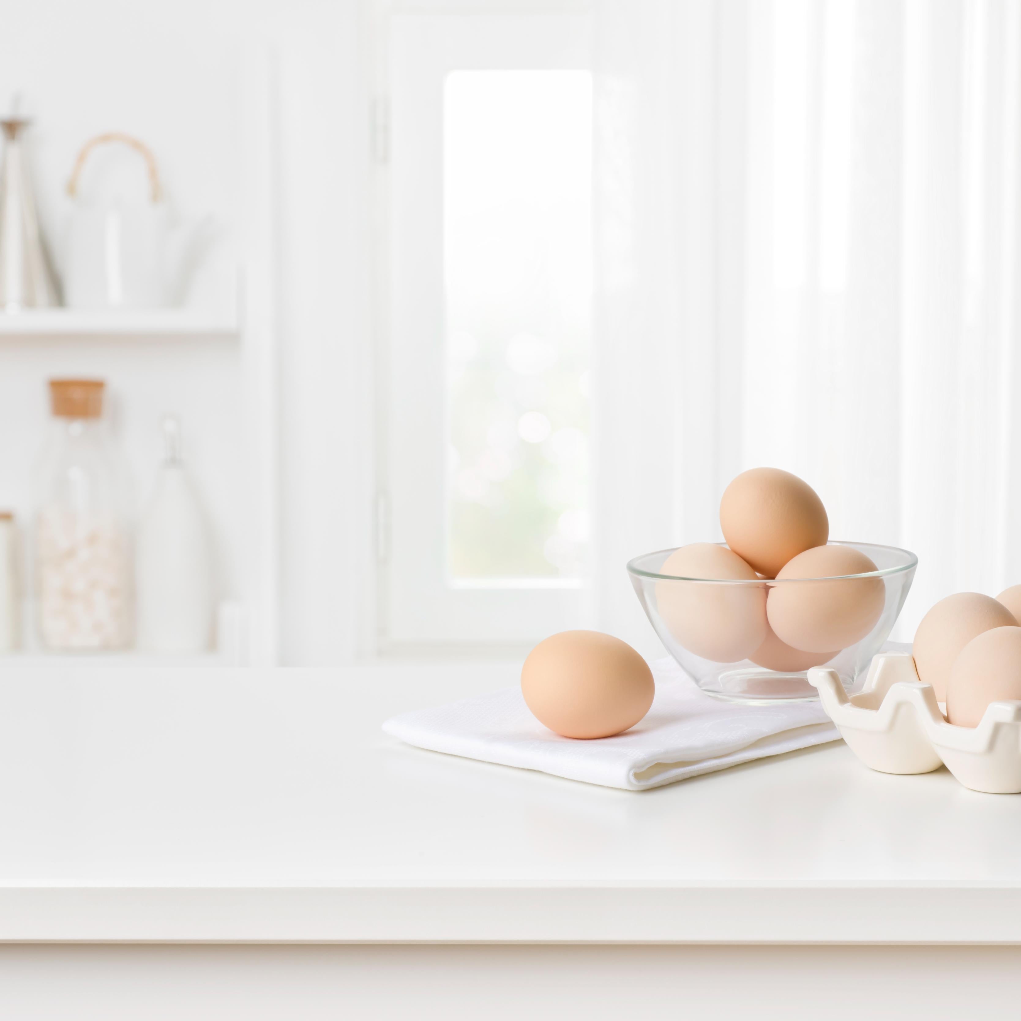 The Power of Egg White Protein — Clean, Complete, Convenient